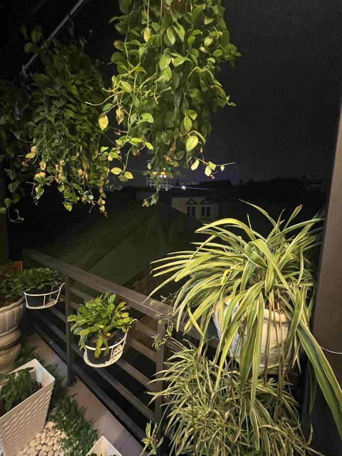 Sunflower Homestay Хайфон Экстерьер фото